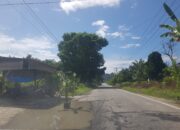 Pohon Pisang Di Badan Jalan Nasional Subulussalam