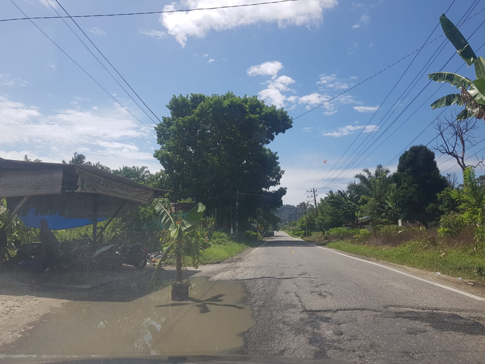 Pohon Pisang Di Badan Jalan Nasional Subulussalam