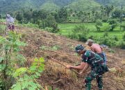 Prajurit Yonif TP-857/GG Sulap Lahan Tidur Jadi Lahan Produktif Kacang Tanah
