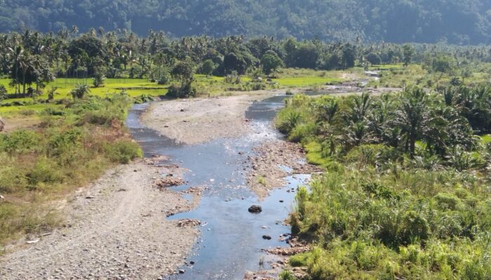 Debit Air Sungai Barumun Menurun, Padang Lawas Terancam Kekeringan