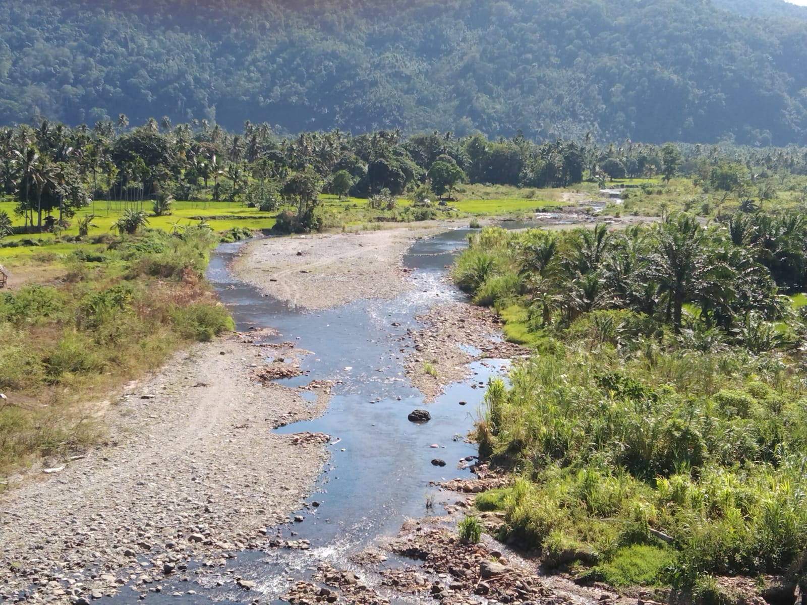 Debit Air Sungai Barumun Menurun, Padang Lawas Terancam Kekeringan
