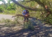 Angin Kencang Landa Aceh Besar, BPBD Imbau Warga Waspada