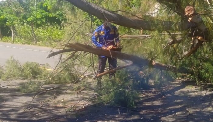 Angin Kencang Landa Aceh Besar, BPBD Imbau Warga Waspada