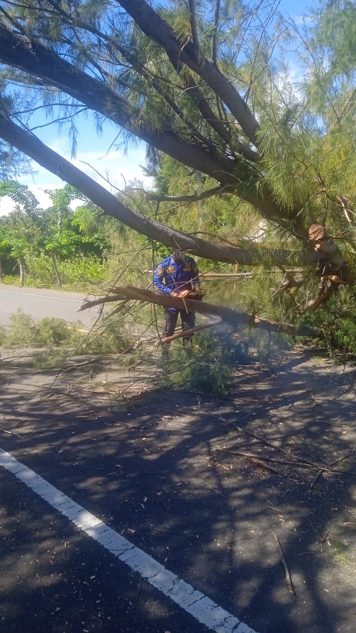 Angin Kencang Landa Aceh Besar, BPBD Imbau Warga Waspada