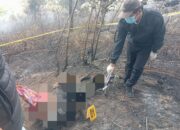 Kebakaran Lahan Di Parsingguran, Ibu Muda Tewas Terpanggang