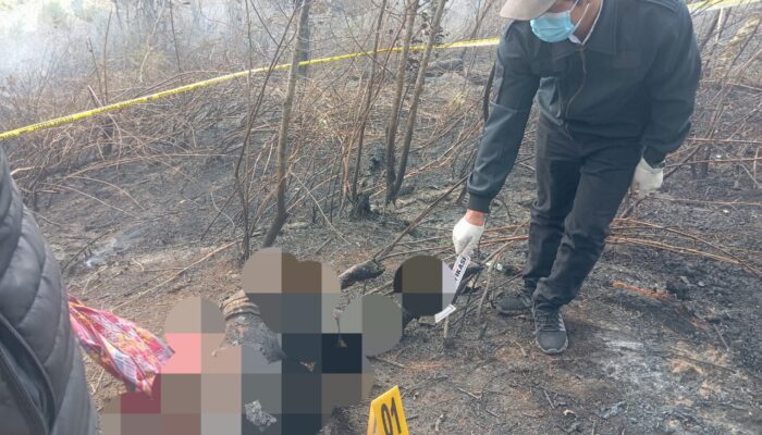 Kebakaran Lahan Di Parsingguran, Ibu Muda Tewas Terpanggang