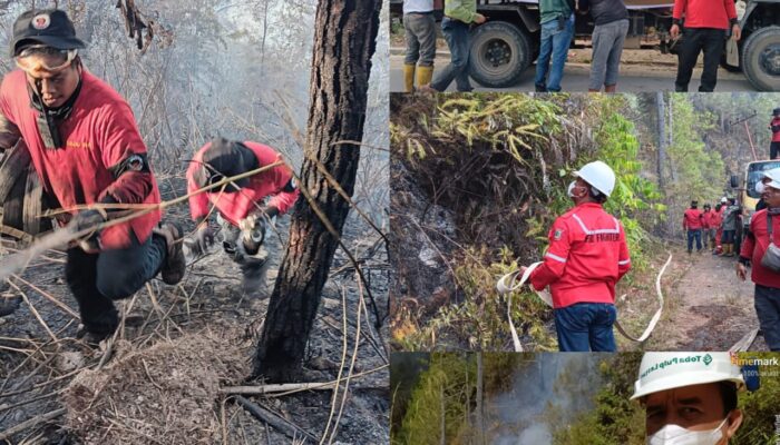 Team Fire Safety TPL Sigap Bantu Padamkan Karhutla Di Kabupaten Toba