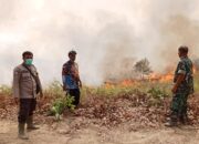 Kebakaran Hutan Dan Lahan Di Palas Meluas, Tim Karhutlah Kewalahan