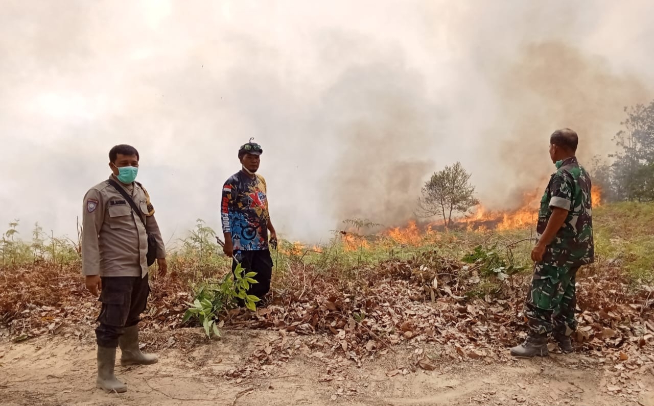 Kebakaran Hutan Dan Lahan Di Palas Meluas, Tim Karhutlah Kewalahan
