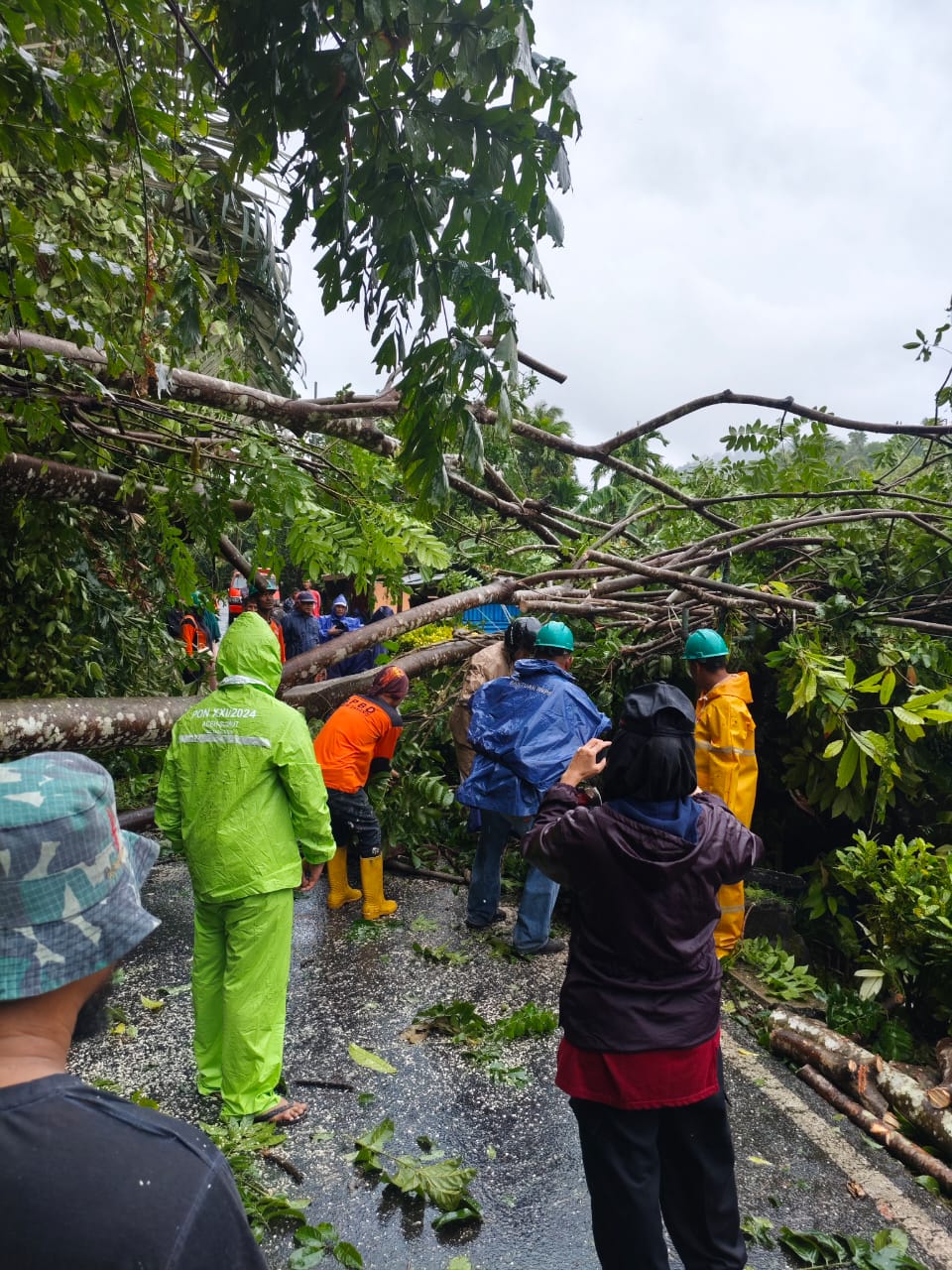 Cuaca Ekstrem Landa Sabang Sejumlah Pohon Tumbang Dan Transportasi Laut Terganggu