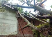 17 Bangunan Di Aceh Besar Rusak Akibat Angin Kencang
