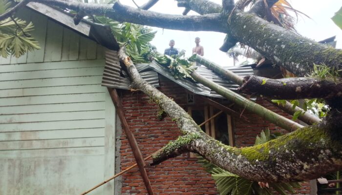 17 Bangunan Di Aceh Besar Rusak Akibat Angin Kencang