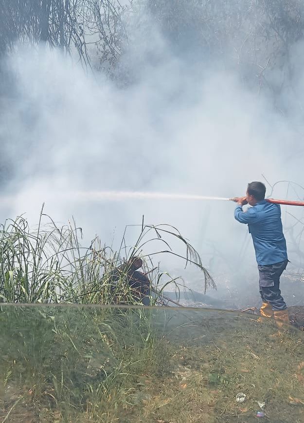 Cuaca Ekstrem, Sebulan 25 Kasus Kebakaran Lahan Terjadi Di Labusel