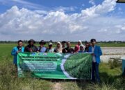 Tim PKM Unsam Kembangkan Sistem Pemantauan Waktu Panen Padi Berbasis Teknologi