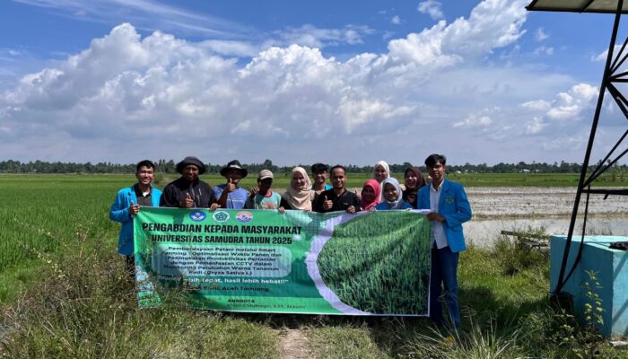 Tim PKM Unsam Kembangkan Sistem Pemantauan Waktu Panen Padi Berbasis Teknologi
