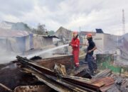 Belasan Keluarga Kehilangan Tempat Tinggal Akibat Kebakaran Di Dewantara