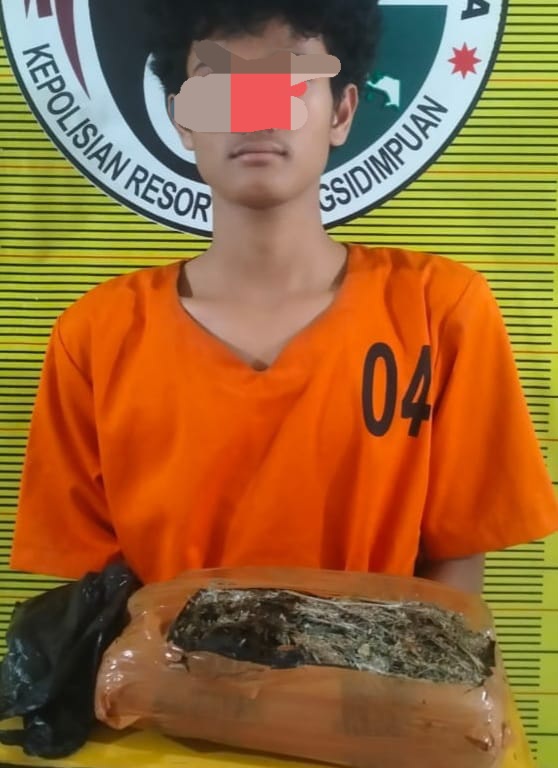 Bawa 1,05 Kg Ganja, Remaja Asal Tapsel Ditangkap Di Sidimpuan