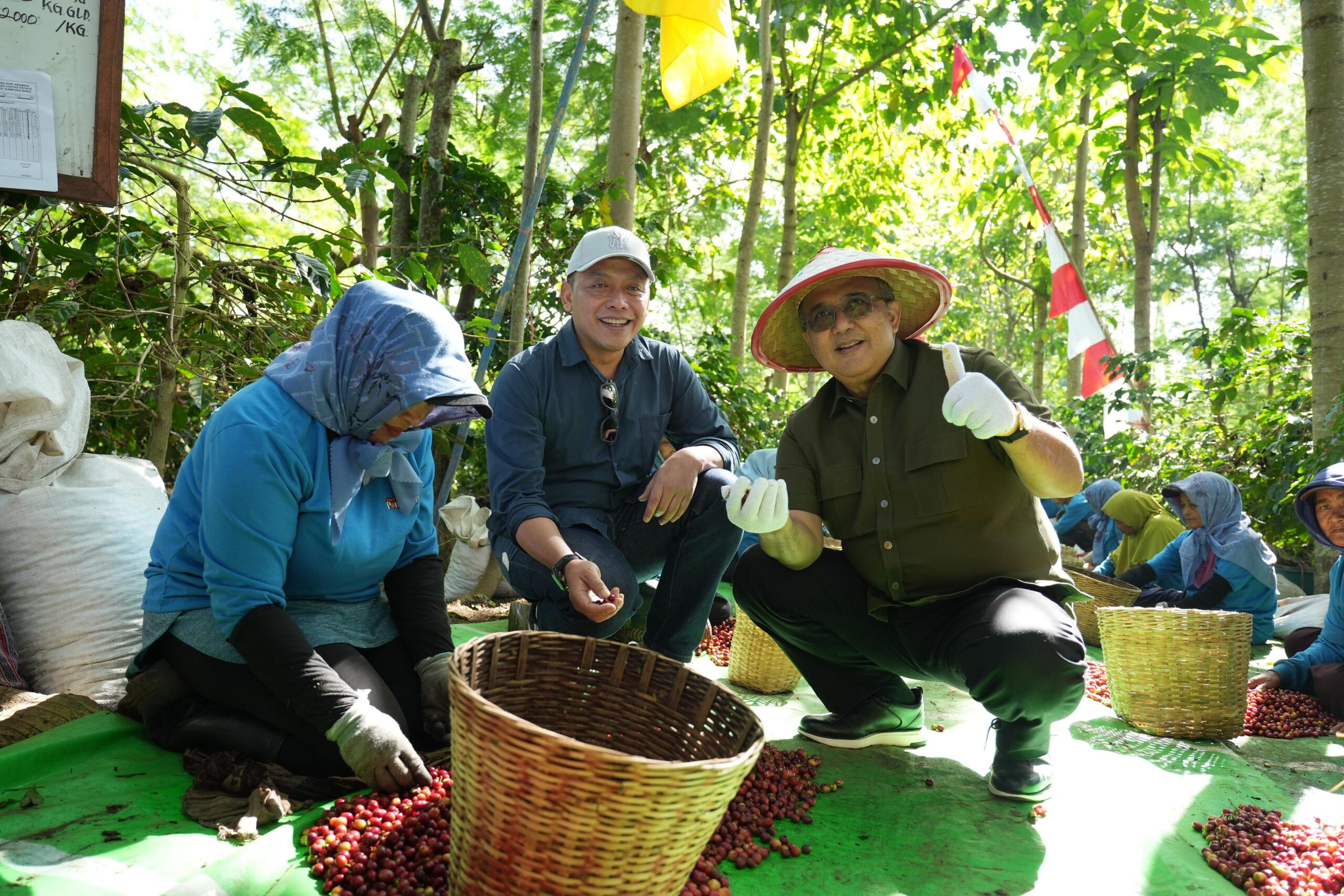 BPK RI Apreasiasi Pengelolaan Kopi Ijen Oleh PalmCo