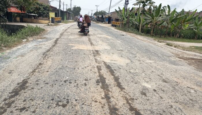Jalan Lintas Provinsi Di Pagar Merbau Rusak Menahun, Warga Minta Bobby Nasution Tak Tutup Mata