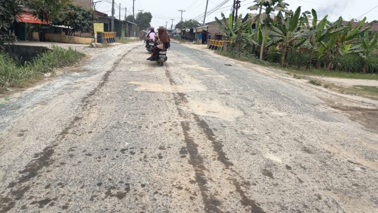 Jalan Lintas Provinsi Di Pagar Merbau Rusak Menahun, Warga Minta Bobby Nasution Tak Tutup Mata