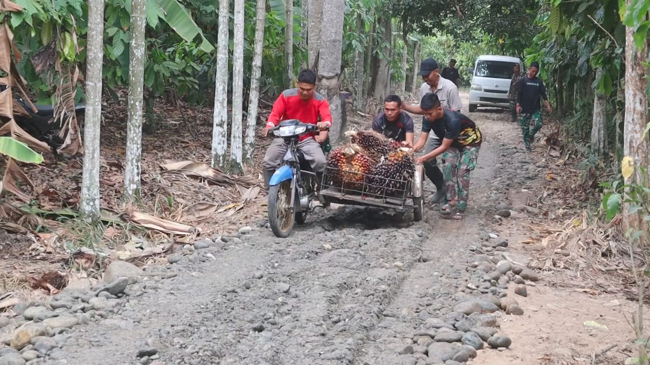 Satgas TMMD Kodim 0108/Agara Bantu Angkut Hasil Pertanian