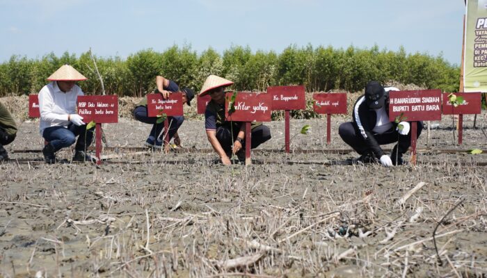 Yakopi Lakukan Restorasi Mangrove Hingga Berdayakan Ekonomi Warga