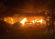 Panglong Kayu Di Cot Ba’u Dilalap Sijago Merah