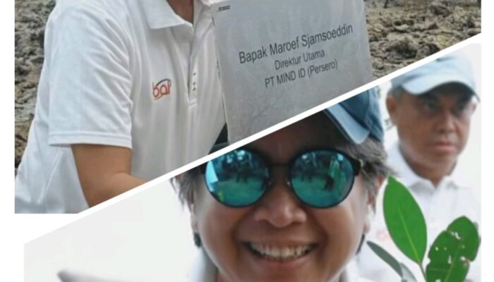 Inalum Perkuat Strategi Dekarbonisasi melalui Restorasi Mangrove Bersama