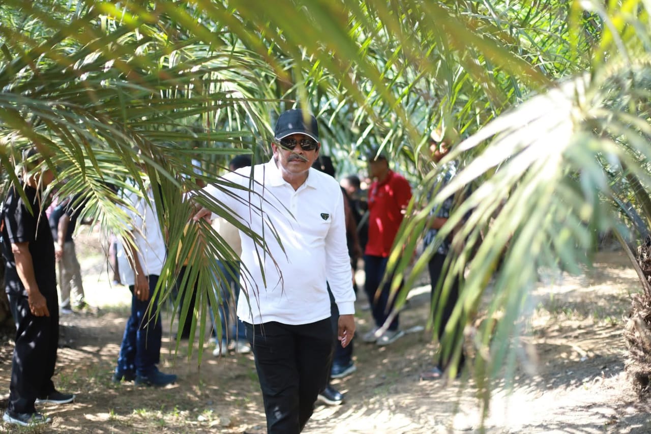 Bupati Madina Bawa Sejumlah Pejabat Study Banding Sawit Ke Labuhanbatu