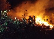 Lahan Kebun Milik Warga Agara Terbakar