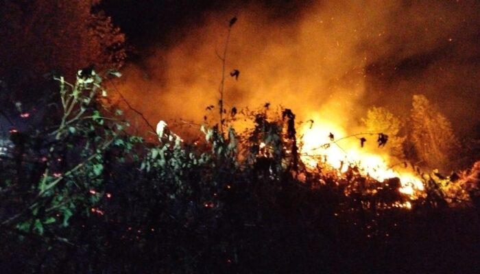 Lahan Kebun Milik Warga Agara Terbakar