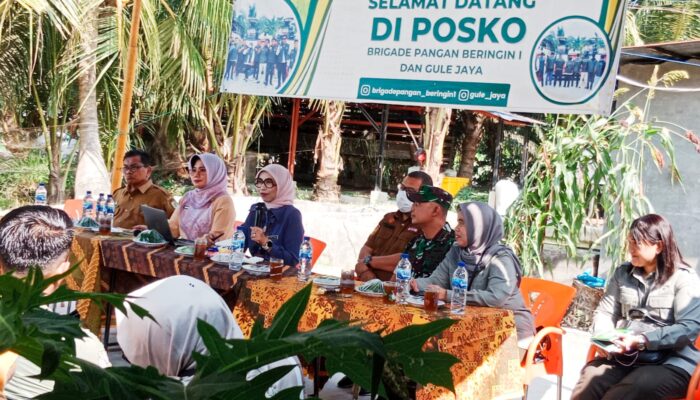 Brigade Pangan Motor Penggerak Kemajuan Pertanian Sergai