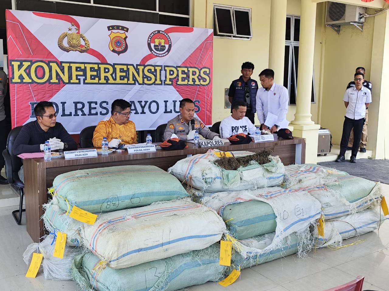 Polres Gayo Lues Temukan Ganja 501 Kg