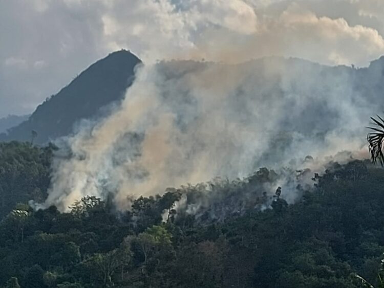 Kebun Milik Warga Di Agara Kembali Terbakar