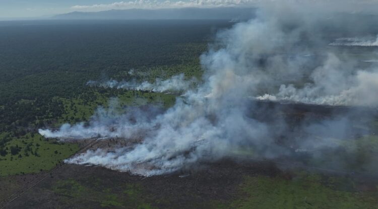 HAkA Temukan 72 Ha Hutan Bulohseuma Trumon Terbakar