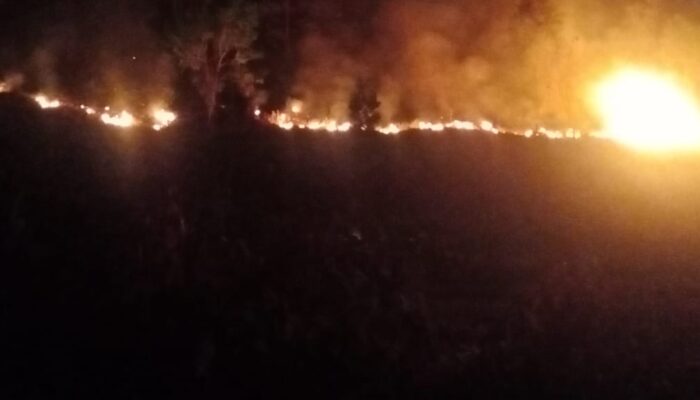 Kebakaran Lahan Dan Hutan Terus Terjadi Di Agara, Akses Jalan Hambat Pemadaman