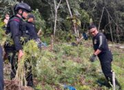 Polda Sumut Didukung Menindak Penyalahgunaan Narkoba Sebagai Langkah Strategis