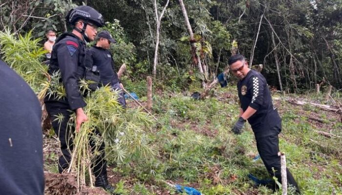 Polda Sumut Didukung Menindak Penyalahgunaan Narkoba Sebagai Langkah Strategis