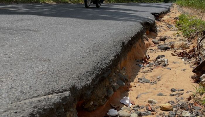 Berm Jalan Curam, Perbaikan Jalinsum Kotapinang-Gunungtua Mendesak