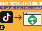 Ubah TikTok ke MP3 Online: Metode Cepat & Gratis yang Berfungsi