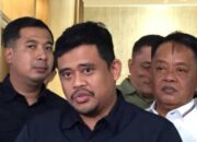 Pakar Pidana: Tak Mungkin Topan Ginting Terima Rp8 Miliar Tanpa Diketahui Bobby