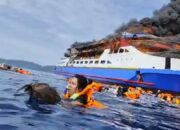 Kapal Motor Gregorius Barcelona V Terbakar, Seruan Minta Tolong Dari Tengah Laut