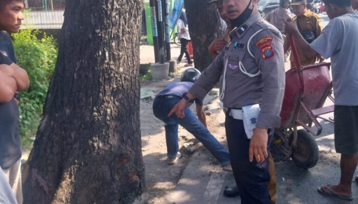 Tabrak Pohon, Pengendara Sepeda Motor Tewas Dilindas Dump Truk Di Jl. Panglima Denai