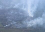 44 Orang Tersangka Kasus Karhutla Riau