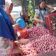 Harga bawang merah di Sumatera Utara melonjak tajam dan menjadi penyumbang utama inflasi pada bulan Juli. Inflasi Sumut tercatat sebesar 0,76%, dan bawang merah tercatat sebagai komodita