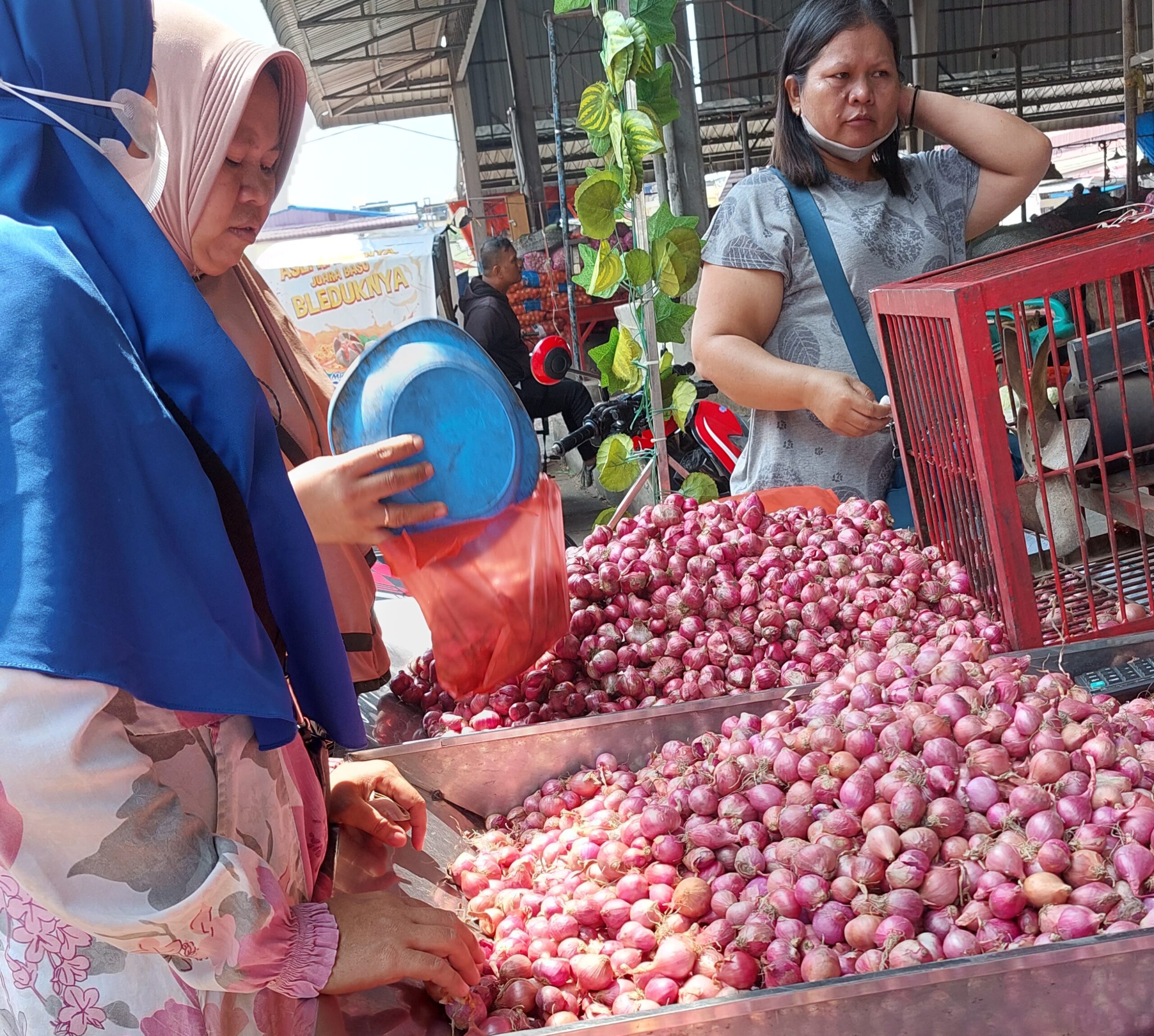 Harga Bawang Merah Melonjak Tajam