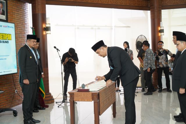 Dipertanyakan, Penunjukan Ardian Surbakti Jadi Dirut Perumda Tirtanadi