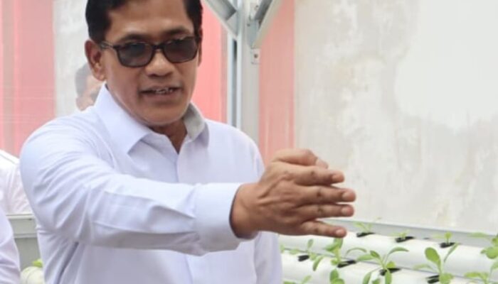  Kemen IMIPAS Siap Tindaklanjuti Keputusan Presiden Beri Amnesti Tom Lembong dan Abolisi Hasto