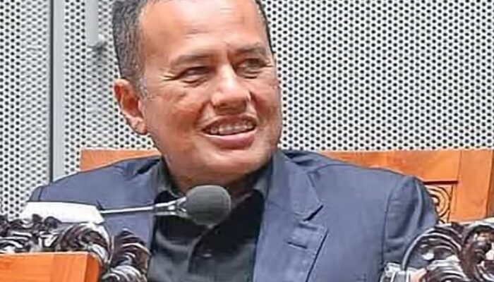 Anggota DPR RI Ijeck Apresiasi Langkah Politik Prabowo Dalam Kasus Tom Lembong dan Hasto