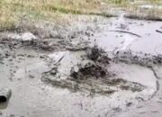 Semburan Lumpur Dari Dalam Tanah, Camat: Sesuatu Yang Wajar